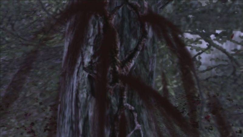 igra-deadly-premonition-the-directors-cut-s-podderzhkoj-playstation-move-s-podderzhkoj-3d-ps3_3.jpg