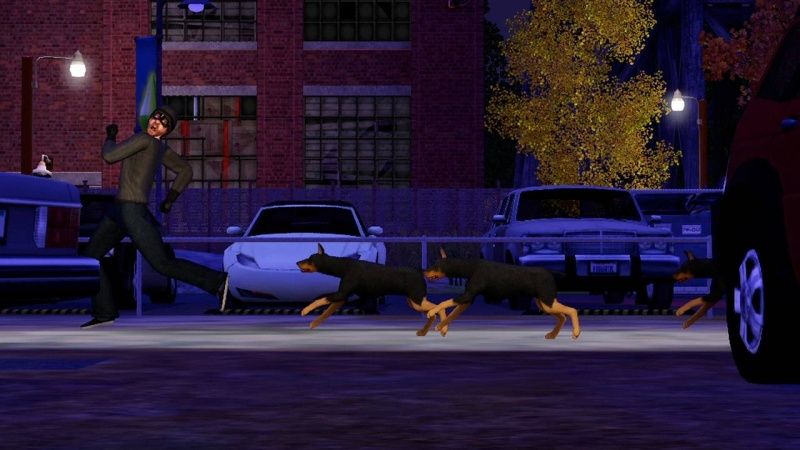 igra-the-sims-3-pets-pitomci-ogranichennoe-izdanie-limited-edition-ps3-used-bu_2.jpg