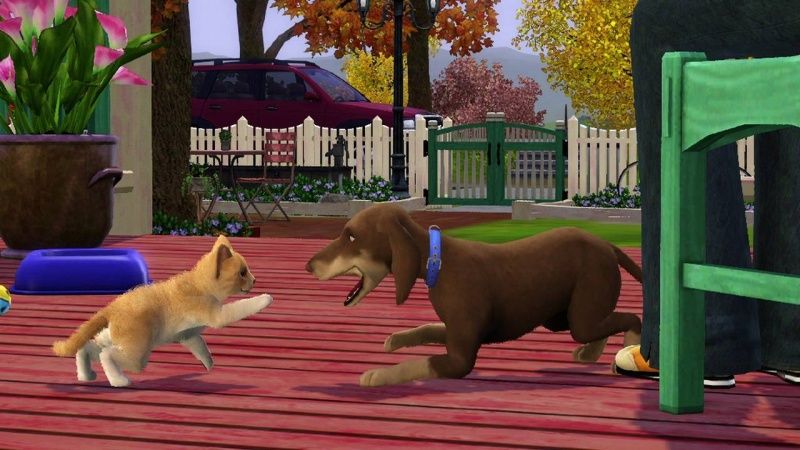 igra-the-sims-3-pets-pitomci-ogranichennoe-izdanie-limited-edition-ps3-used-bu_3.jpg