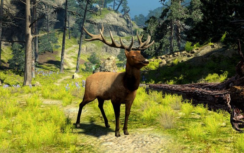 cabelas-big-game-hunter-xbox-360.jpg