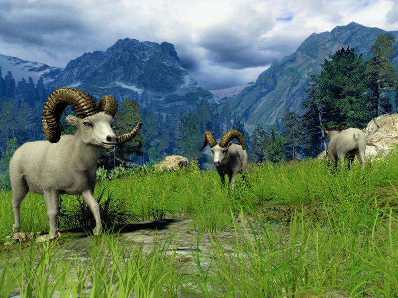 cabelas-big-game-hunter-xbox-360_2.jpg