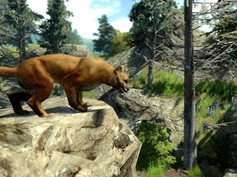 cabelas-big-game-hunter-xbox-360_3.jpg