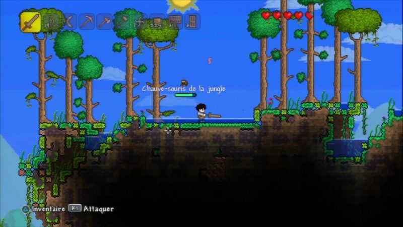 videoigra-terraria-specialnoe-izdanie-special-edition-ps4_2.jpg