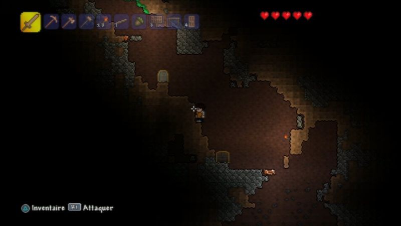 videoigra-terraria-specialnoe-izdanie-special-edition-ps4_4.jpg