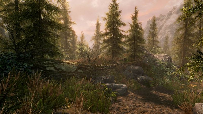 videoigra-the-elder-scrolls-5-v-skyrim-special-edition-russkaya-versiya-xbox-one_2.jpg