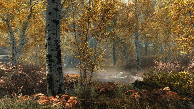 videoigra-the-elder-scrolls-5-v-skyrim-special-edition-russkaya-versiya-xbox-one_4.jpg