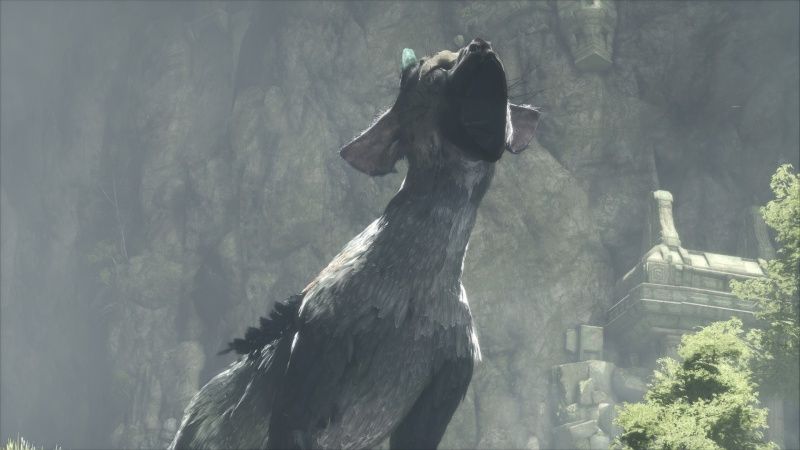 videoigra-the-last-guardian-poslednij-hranitel-ps4_2.jpg