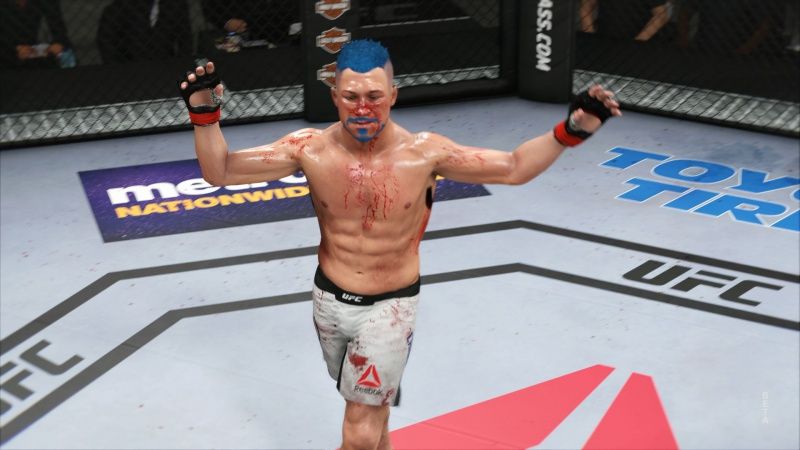videoigra-ufc-3-russkaya-versiya-ps4_4.jpg