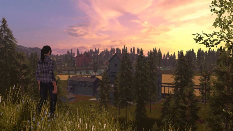 igra-farming-simulator-nintendo-switch-edition-russkaya-versiya-switch_3.jpg