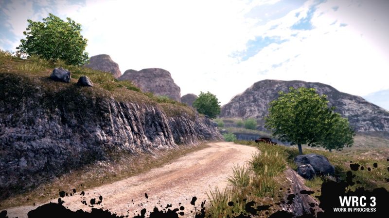 videoigra-wrc-3-fia-world-rally-chionship-ps-vita_4.jpg